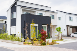 RENTAL HOUSING